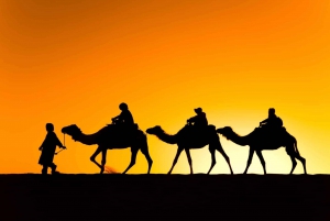 Marrakech: Quad nel deserto di Agafay, giro in cammello e cena