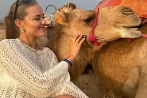 Marrakech: Agafay Desert Quad Bike, Camel Ride and Dinner