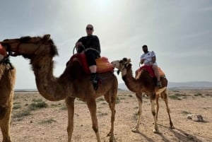 Marrakech: Agafay Desert Quad Bike, Camel Ride and Dinner