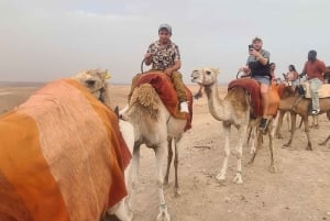 Marrakech: Agafay Quad Tour with Camel Ride, Dinner & Show