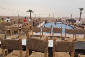 Marrakech: Agafay Quad Tour with Camel Ride, Dinner & Show