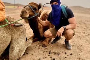 マラケシュ：アガファイ砂漠、四輪バギー、ラクダ乗り、ディナーショー