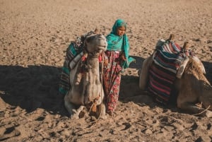 マラケシュ：アガファイ砂漠、四輪バギー、ラクダ乗り、ディナーショー