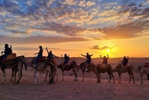 Marrakesh: Agafay-woestijn, quad, kamelenrit, diner en show