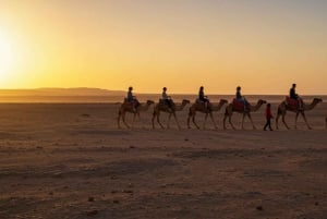 Marrakech: Agafayn aavikkokilpailu, kameliratsastus, illallinen, show