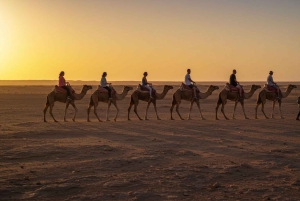 Marrakech: Agafayn aavikkokilpailu, kameliratsastus, illallinen, show