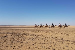 Marrakech: Agafayn aavikkokilpailu, kameliratsastus, illallinen, show