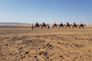 Marrakech: Agafayn aavikkokilpailu, kameliratsastus, illallinen, show