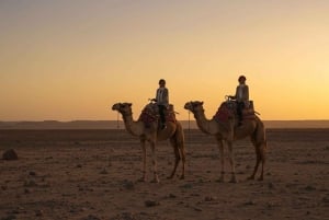 Marrakech: Agafayn aavikkokilpailu, kameliratsastus, illallinen, show