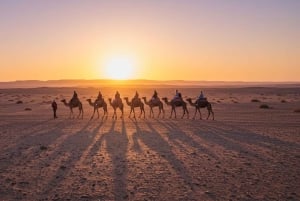 Marrakech: Agafayn aavikkokilpailu, kameliratsastus, illallinen, show