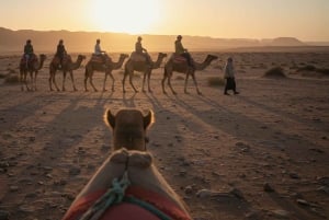 Marrakech: Agafayn aavikkokilpailu, kameliratsastus, illallinen, show