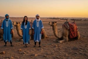 Marrakech: Agafayn aavikkokilpailu, kameliratsastus, illallinen, show