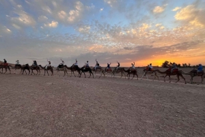 Marrakesh: ATV, kamelridning, middag og show i Agafay-ørkenen
