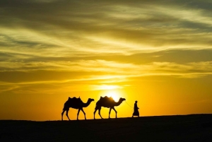 Marrakesh: ATV, kamelridning, middag og show i Agafay-ørkenen