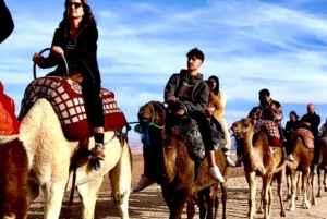 Marrakesh: ATV, kamelridning, middag og show i Agafay-ørkenen