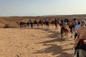 Marrakech: Agafay-ørkenen med firhjuling, kameler og middagsshow