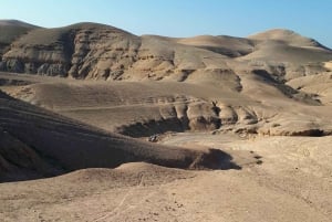 Marrakech: Agafay-ørkenen med firhjuling, kameler og middagsshow