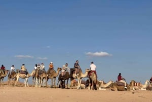 Marrakech: Agafay-ørkenen med firhjuling, kameler og middagsshow