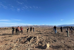 Marrakech - en resa Agafay Desert Quad Biking & Middagsshow