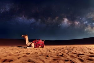 Marrakech: Agafay woestijn quad tour met diner en show