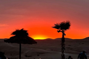 Au départ de Marrakech : Coucher de soleil dans le désert d'Agafay, randonnée en quad et dîner