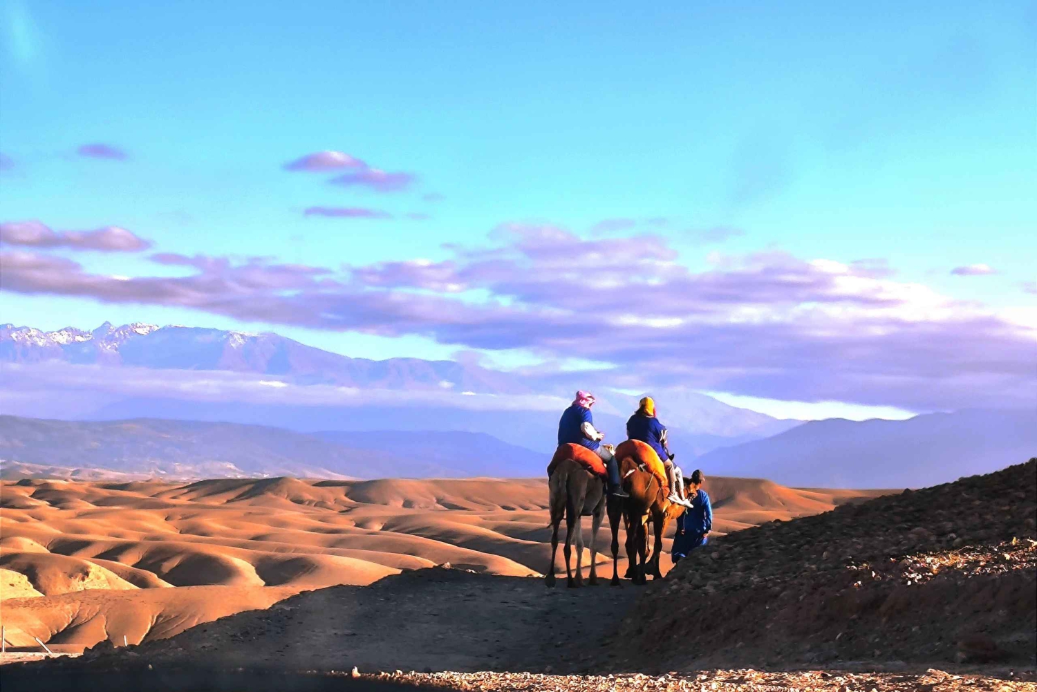 Marrakech: Agafay Desert Quad, Camel or Pool Day with Lunch