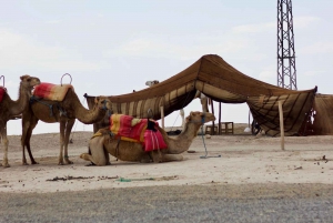 Marrakech: Agafay woestijn Quad, kameel of zwembaddag met lunch