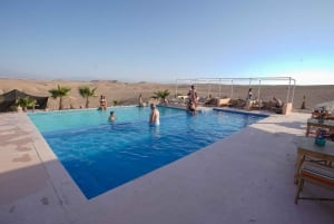 Marrakech: Quadriciclo no deserto de Agafay, camelo ou dia de piscina com almoço