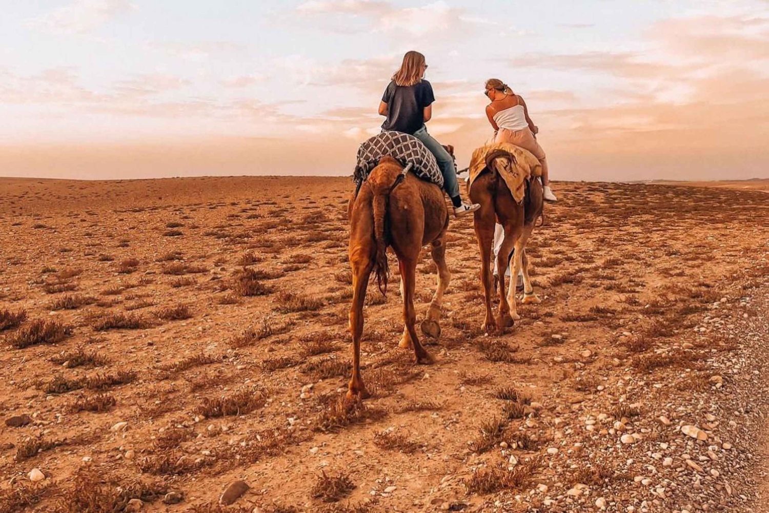 Marraquexe: quadriciclo no deserto de Agafay, passeio de camelo e jantar com espetáculo