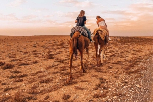 Marraquexe: quadriciclo no deserto de Agafay, passeio de camelo e jantar com espetáculo