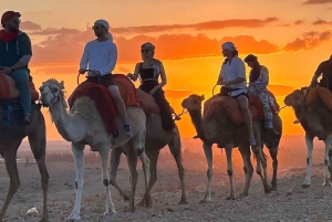 Marraquexe: quadriciclo no deserto de Agafay, passeio de camelo e jantar com espetáculo
