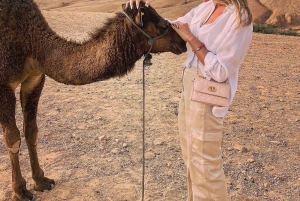 Marraquexe: quadriciclo no deserto de Agafay, passeio de camelo e jantar com espetáculo