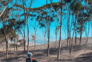 Marraquexe: quadriciclo no deserto de Agafay, passeio de camelo e jantar com espetáculo