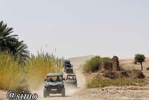 Marrakech: quad- en kameelritten in de Agafay-woestijn, diner en show