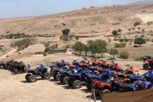 Marrakech: quad- en kameelritten in de Agafay-woestijn, diner en show