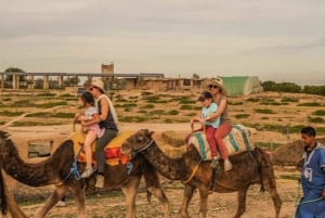 Marrakech: quad- en kameelritten in de Agafay-woestijn, diner en show