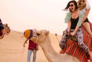 Marrakesch: Agafay-Wüste - Quad- & Kamelritt mit Dinner-Show