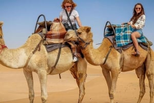 Marrakesch: Agafay-Wüste - Quad- & Kamelritt mit Dinner-Show