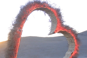 Marrakech: Agafay-woestijn Quad & kamelenritten met dinershow