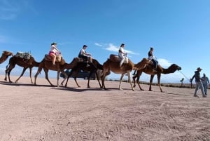 Marrakech: Agafay-woestijn Quad & kamelenritten met dinershow