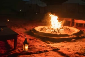 Marrakech: Agafay-woestijn Quad & kamelenritten met dinershow