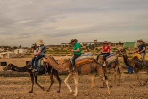 Marrakech: Agafayn aavikkokilpailu, kameliratsastus, illallinen, show