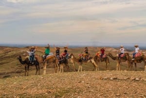 Marrakech: Agafayn aavikkokilpailu, kameliratsastus, illallinen, show