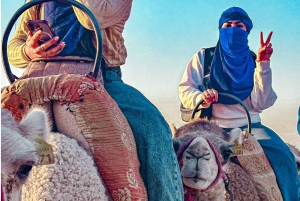 Marrakech: Agafayn aavikkokilpailu, kameliratsastus, illallinen, show