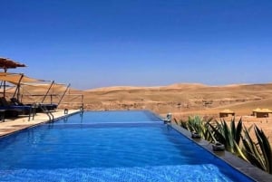 Marrakech: Agafay-woestijn Quad & kamelenritten met dinershow