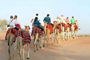 Marrakech: Agafay-woestijn Quad & kamelenritten met dinershow