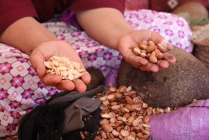 Marrakech : balade en quad et à dos de chameau dans le désert d'Agafay avec dîner-spectacle