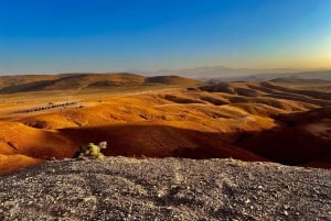 Marrakech: Agafay-woestijn Quad & kamelenritten met dinershow