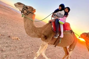 Marrakech: Agafay-ørkenen på quad og kameltur med middagsforestilling