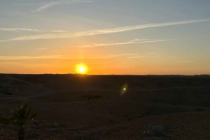 Marraquexe: passeios de moto-quatro e camelo no deserto de Agafay com espetáculo e jantar